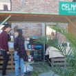 celna